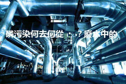 磷污染何去何從？廢水中的磷問題有解嗎？
